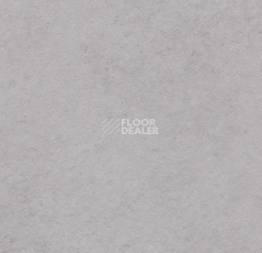 Кварцвиниловые полы Forbo Allura Click 63426CL5 light cement фото 1 | FLOORDEALER
